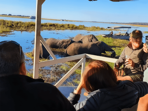 Boat Cruise on the river
