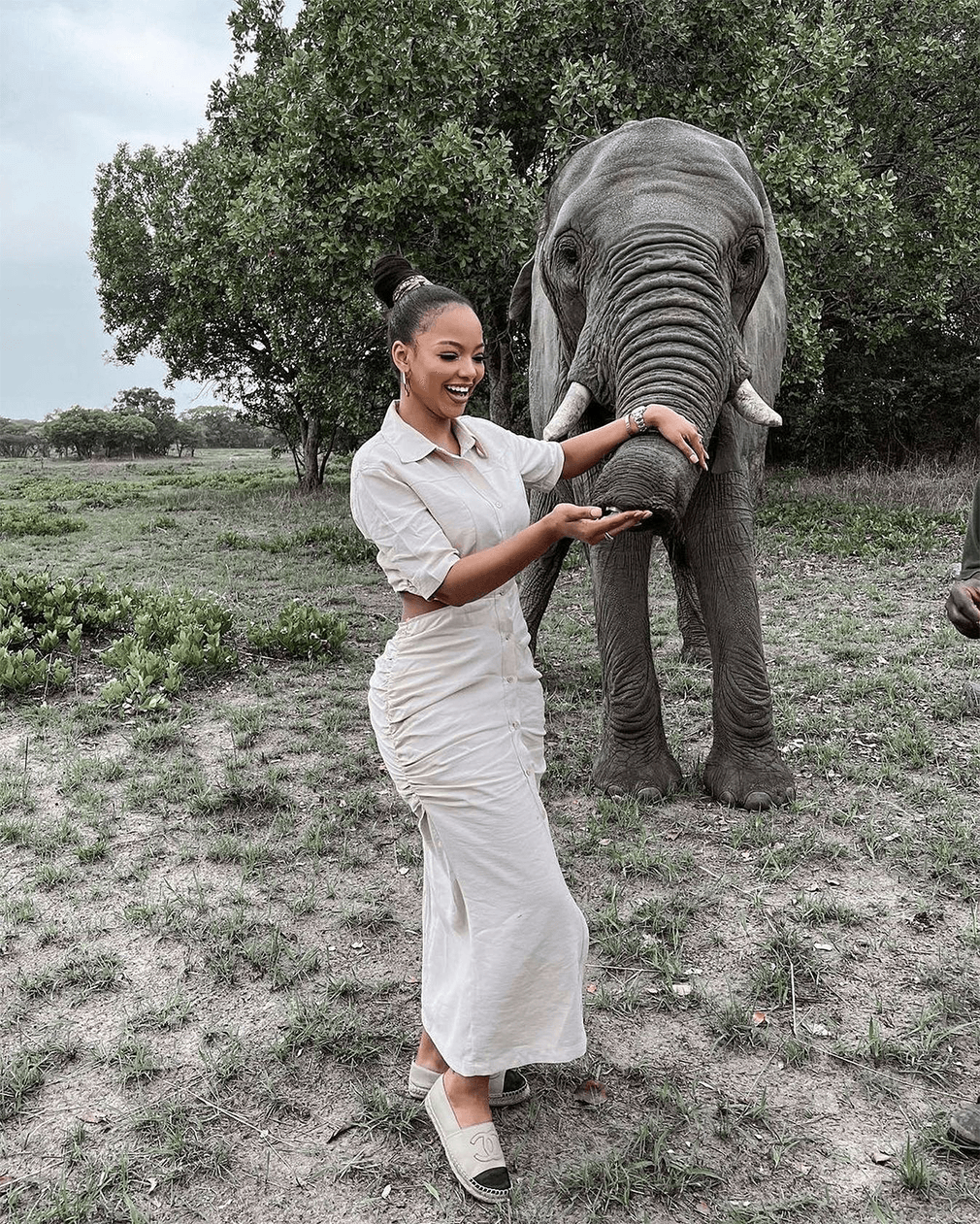 elephant interaction
