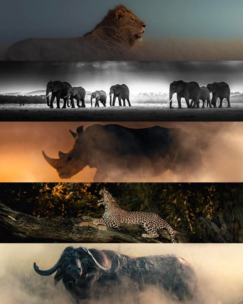 fb img 1759898310930