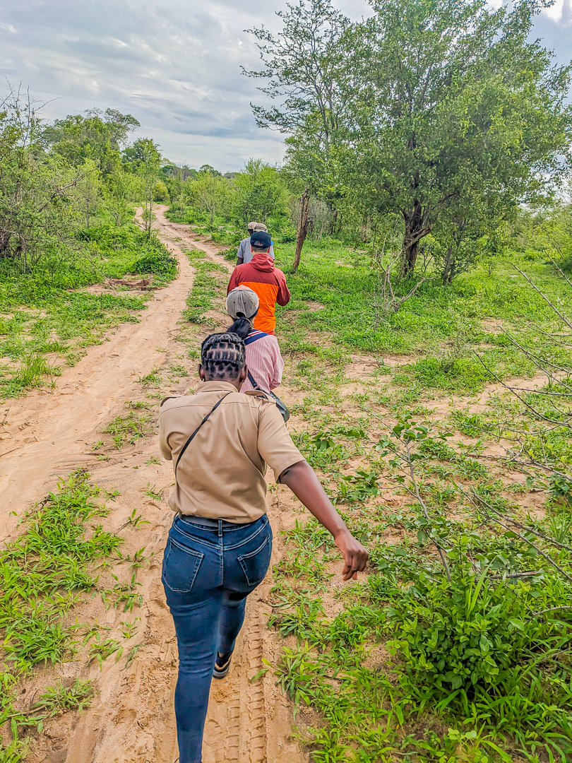 keni yang and zhoa 8 days safari tours 937