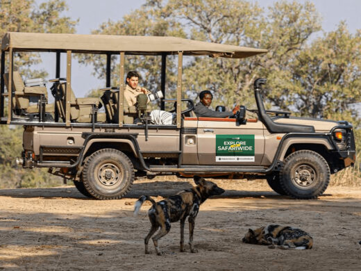 Vehicle Game drive