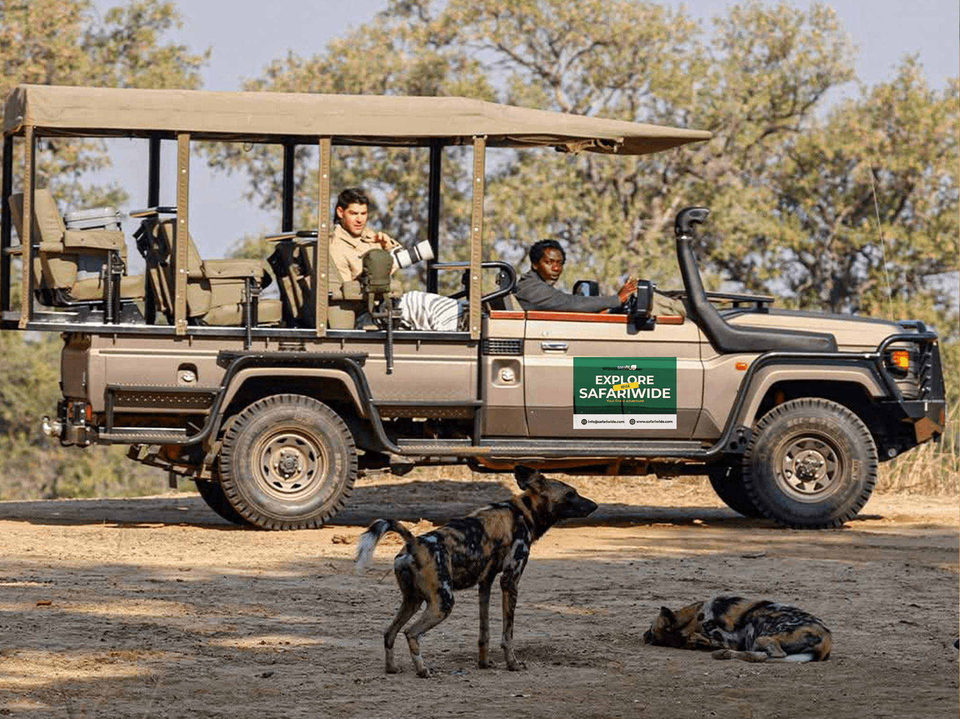 Vehicle Game drive