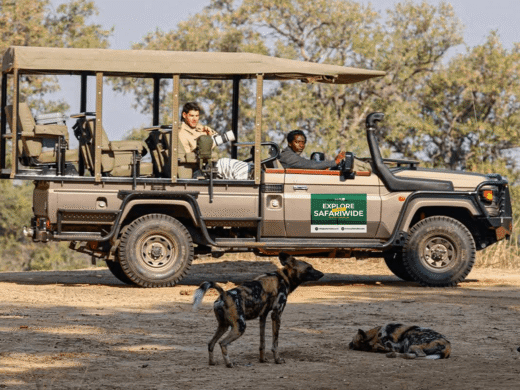 Vehicle Game drive
